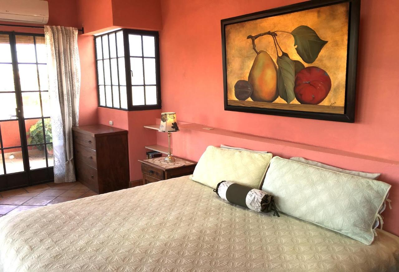 Casa De La Manana Bed and Breakfast Σαν Μιγκέλ ντε Αγιέντε Δωμάτιο φωτογραφία